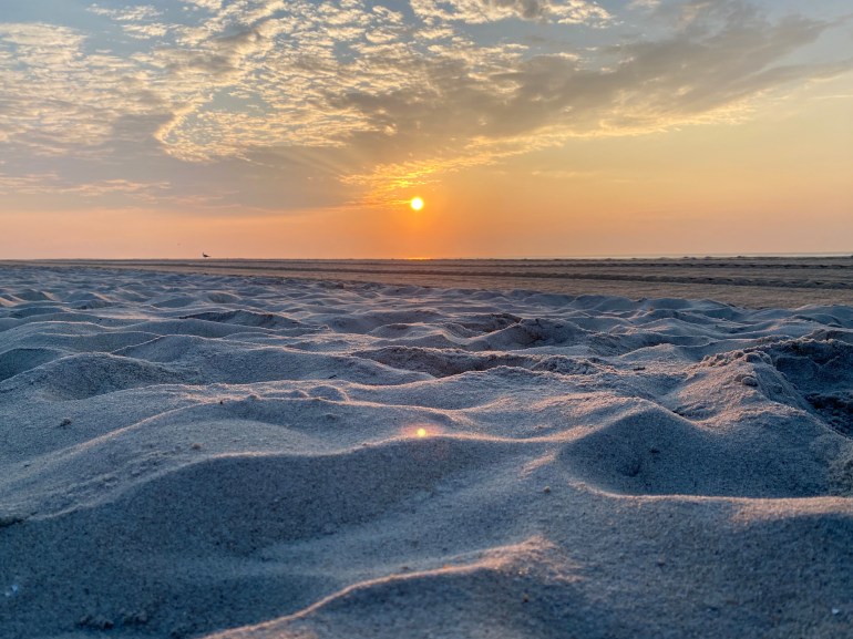 660B7D7C-6A3B-488D-847C-0B3868661D82