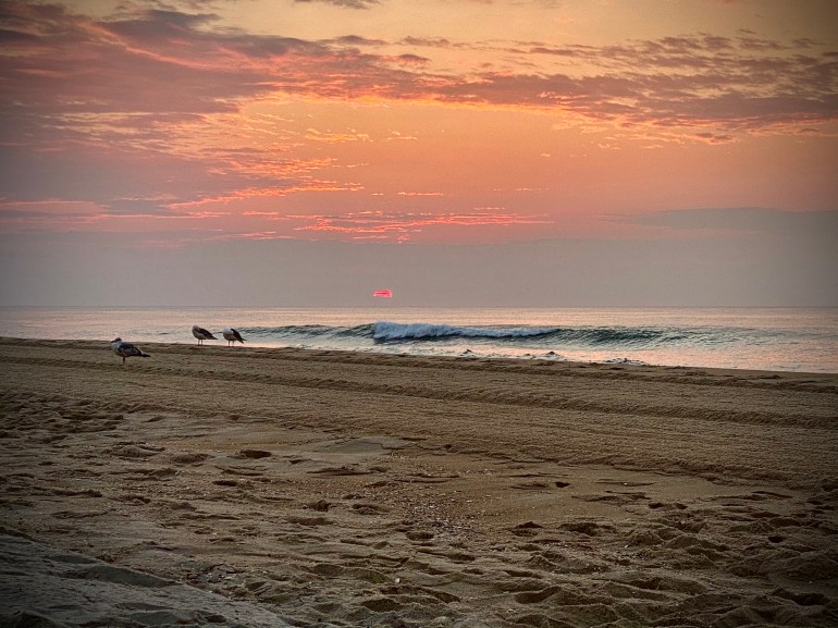 6EFEDA54-0D00-43A3-A8C5-0C34843FF8BA