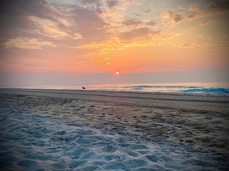 9FF5E538-348F-461F-9980-1F1E57BB41C1